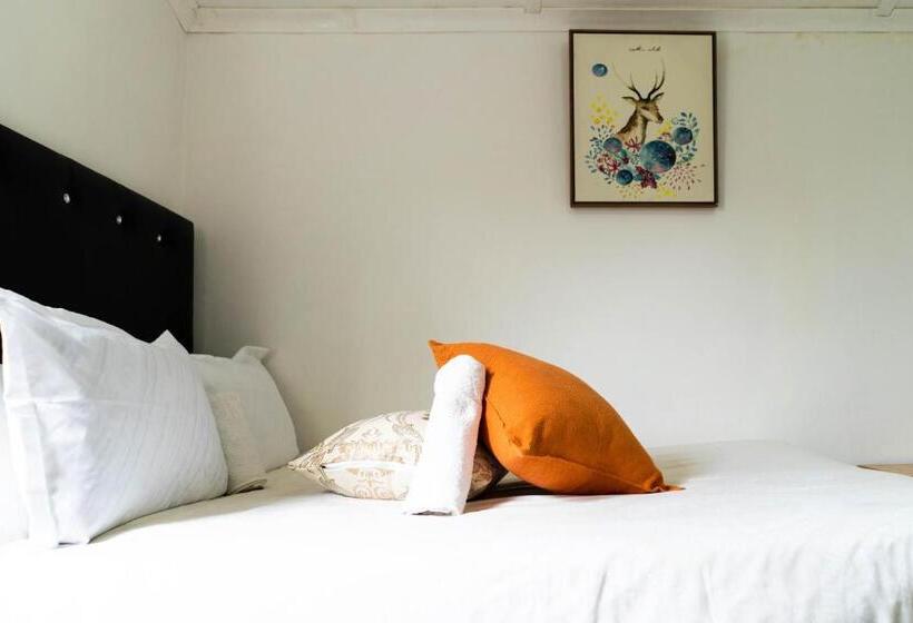 פנסיון Albrine Lodge