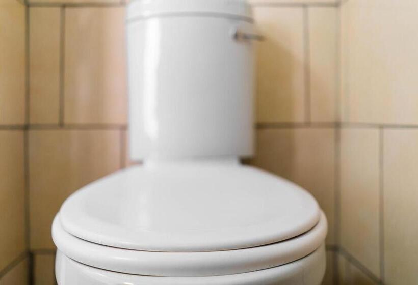 פנסיון Albrine Lodge