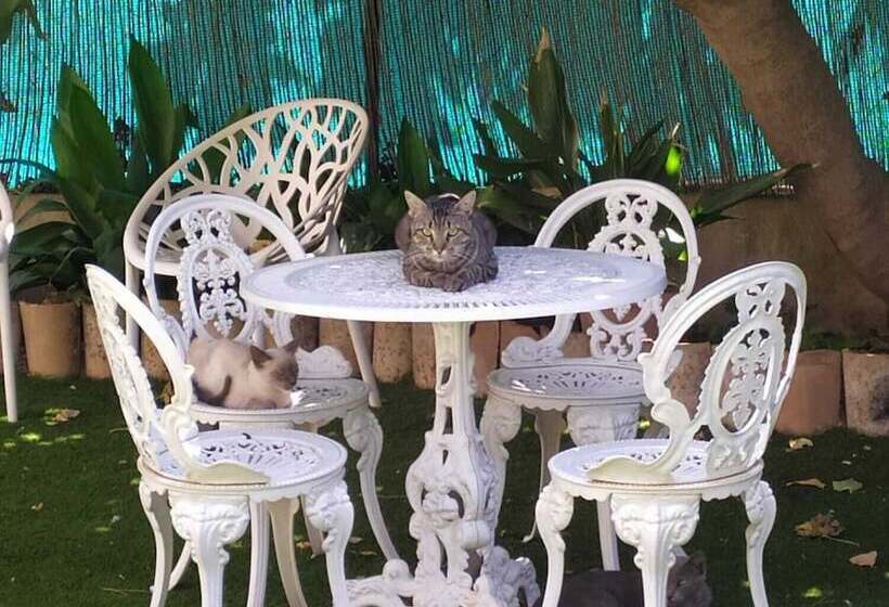 ペンション Casa Rural Villa San Juan