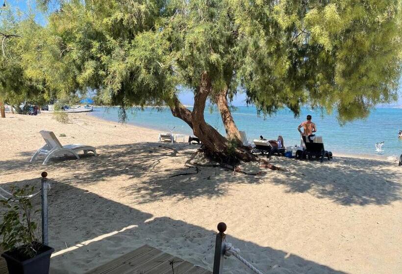 פנסיון Kontogoni Rooms