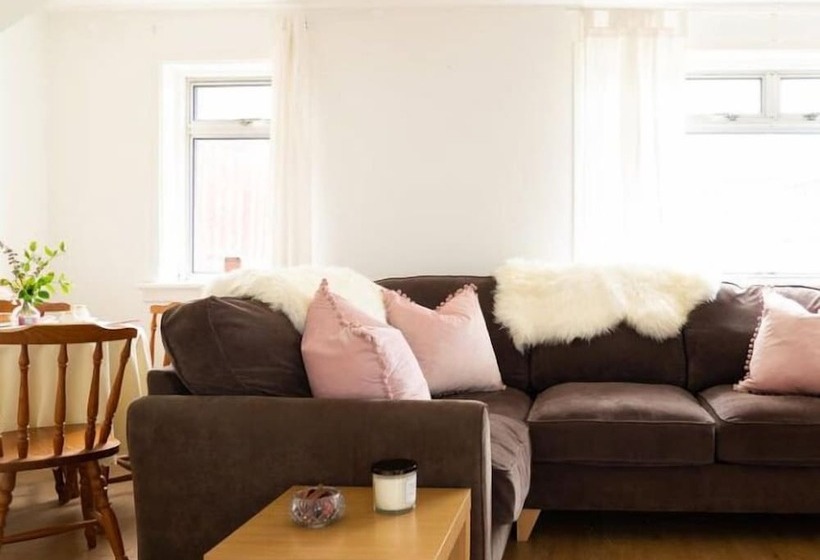 膳宿费 Dunedin House Huntly