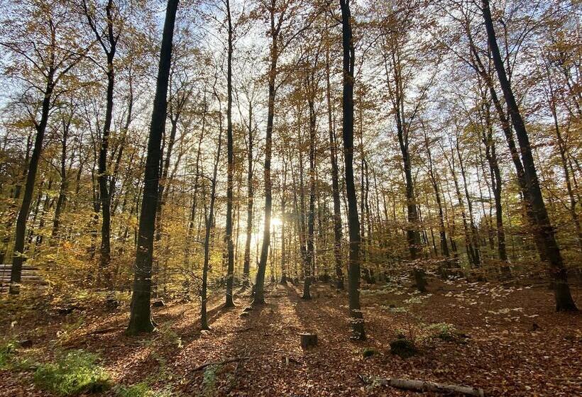 펜션 Gästehaus Am Kurpark