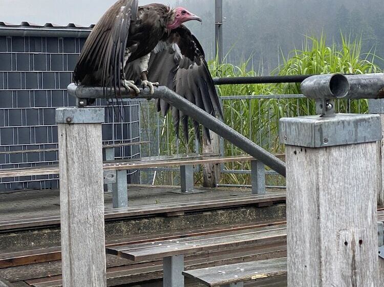 펜션 Gästehaus Am Kurpark