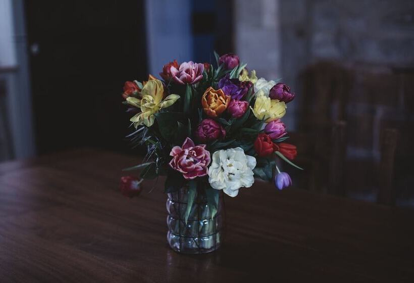 بنسيون Gîtes Chez Antonin