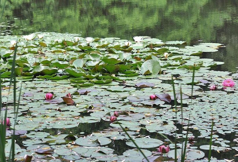 Pondview Cabin   Log Cabin Retreat