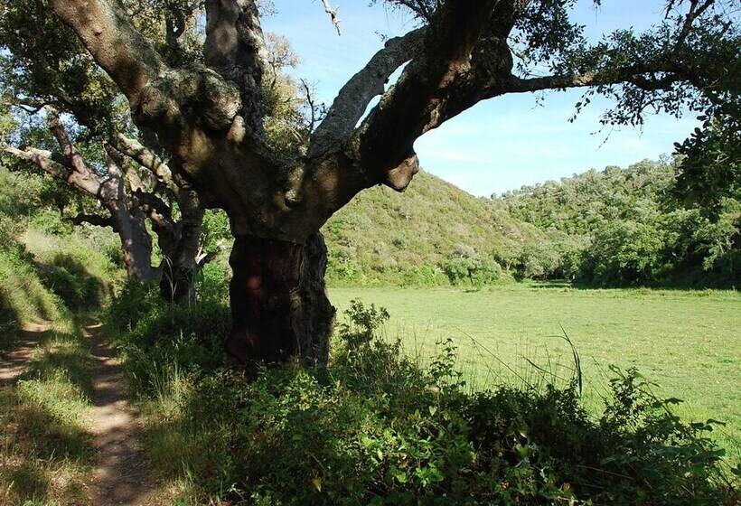 Serene Cottage In Sao Luis With Barbecue
