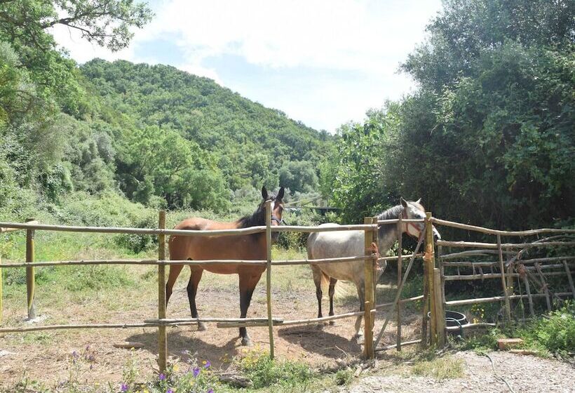 Serene Cottage In Sao Luis With Barbecue