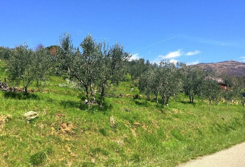 Spacious Cottage In Castelfranco Piandisco With Terrace