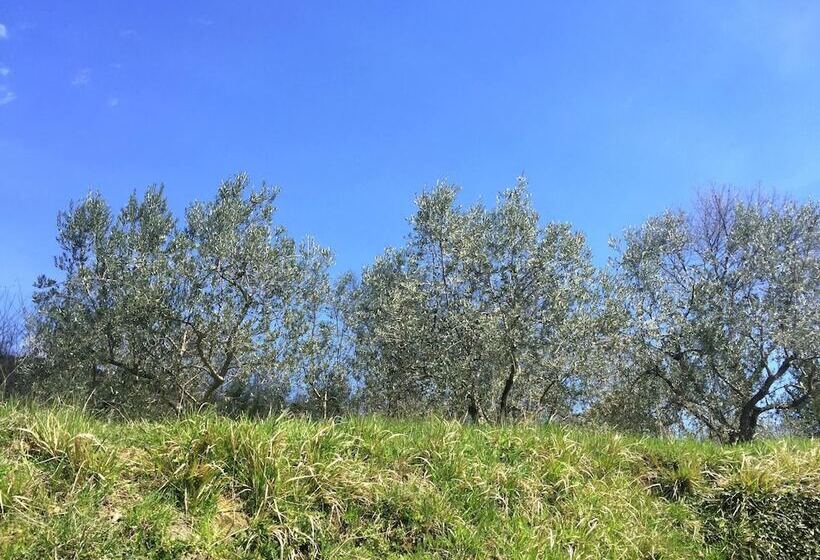 Spacious Cottage In Castelfranco Piandisco With Terrace