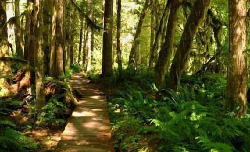 28sw   Fireplace   Dishwasher   Washer/dryer   Sleeps 4