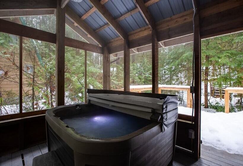 49sl   Hot Tub   Wifi   Fireplace   Sleeps 10