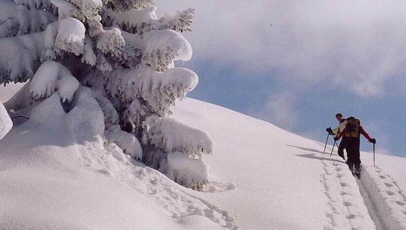 Bed and Breakfast Haus Rübezahl
