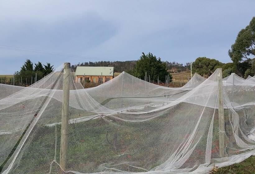 Charles Reuben Estate