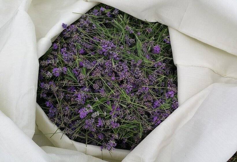 Charles Reuben Estate