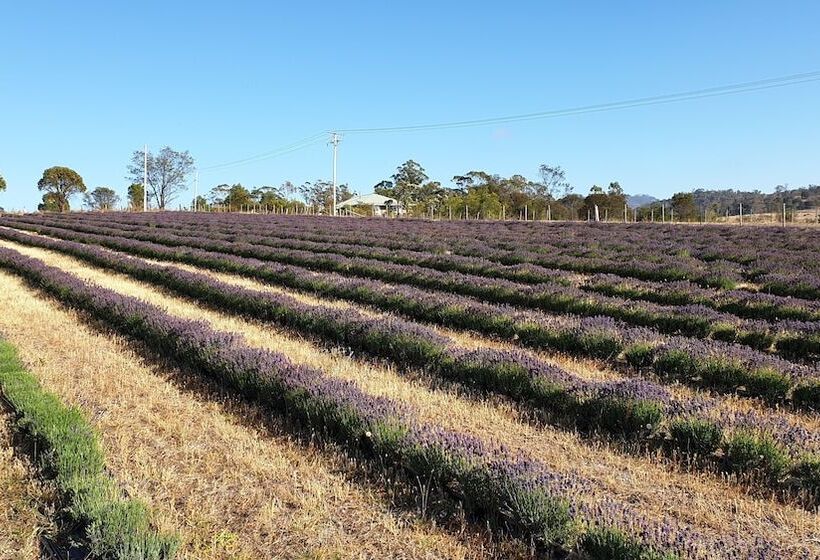 Charles Reuben Estate