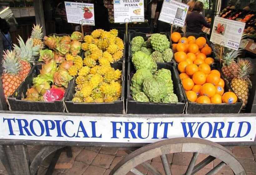 Fig Tree Retro Studio