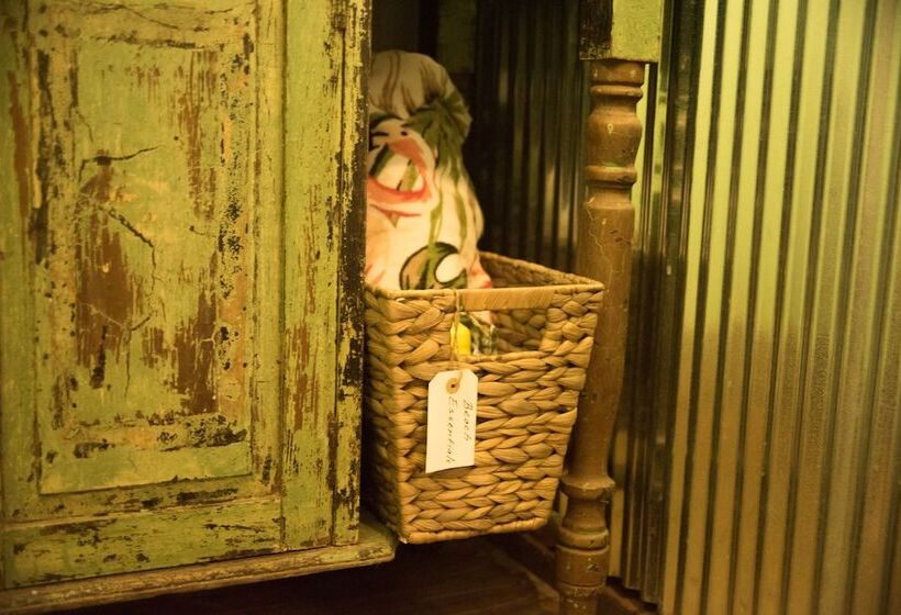 Fig Tree Retro Studio