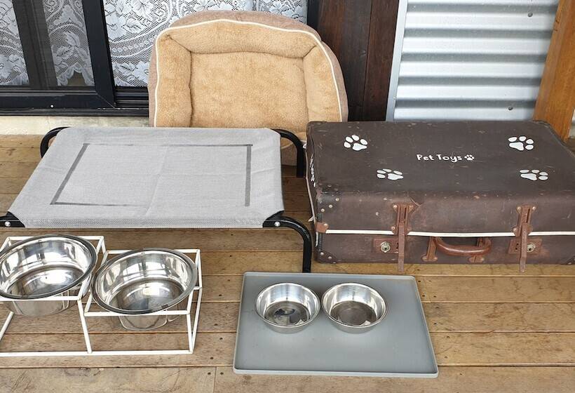 Fig Tree Retro Studio