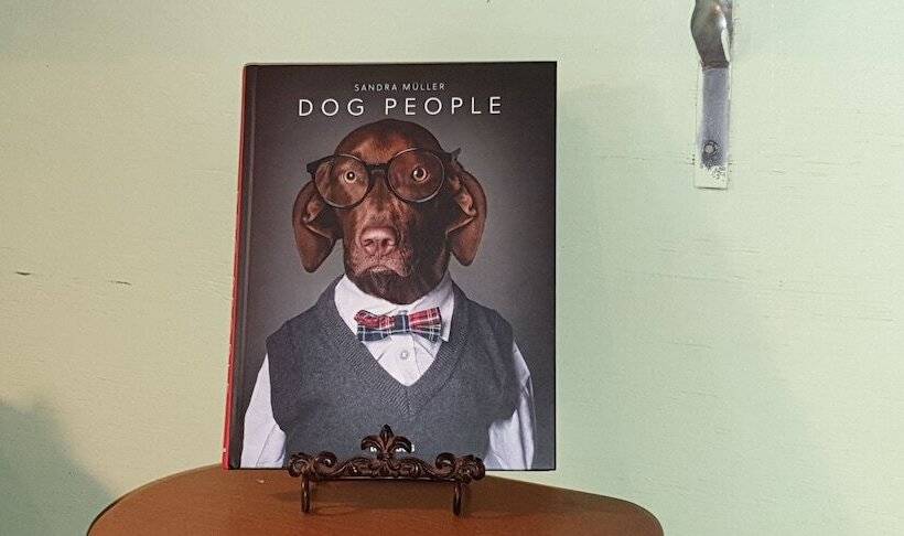 Fig Tree Retro Studio