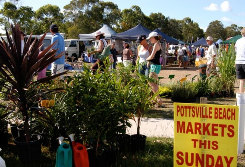 Fig Tree Retro Studio