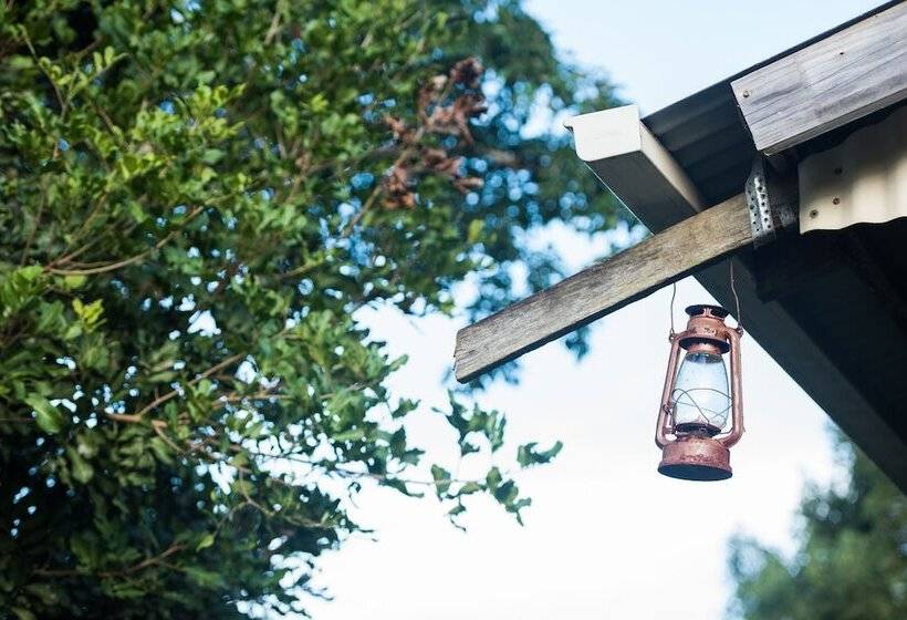 Fig Tree Retro Studio