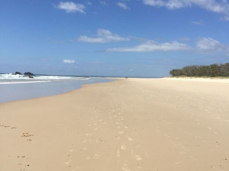 Fig Tree Retro Studio