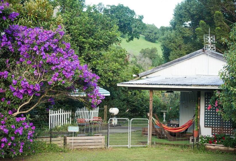 Fig Tree Retro Studio