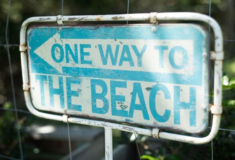 Fig Tree Retro Studio