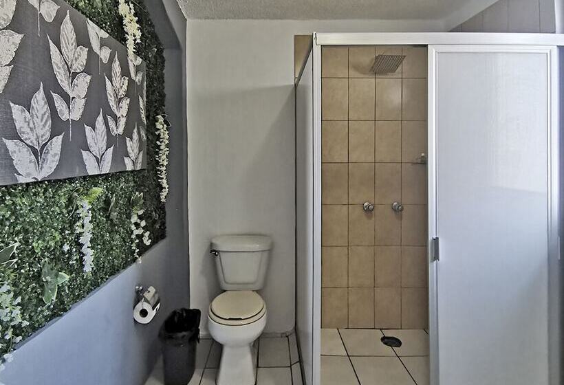 فندق Boutique Charlotte