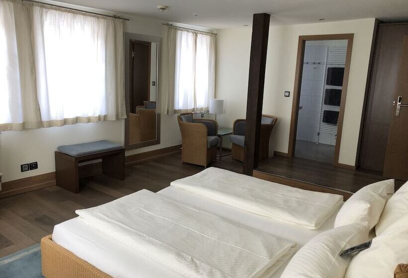 فندق Centrinum Altstadt