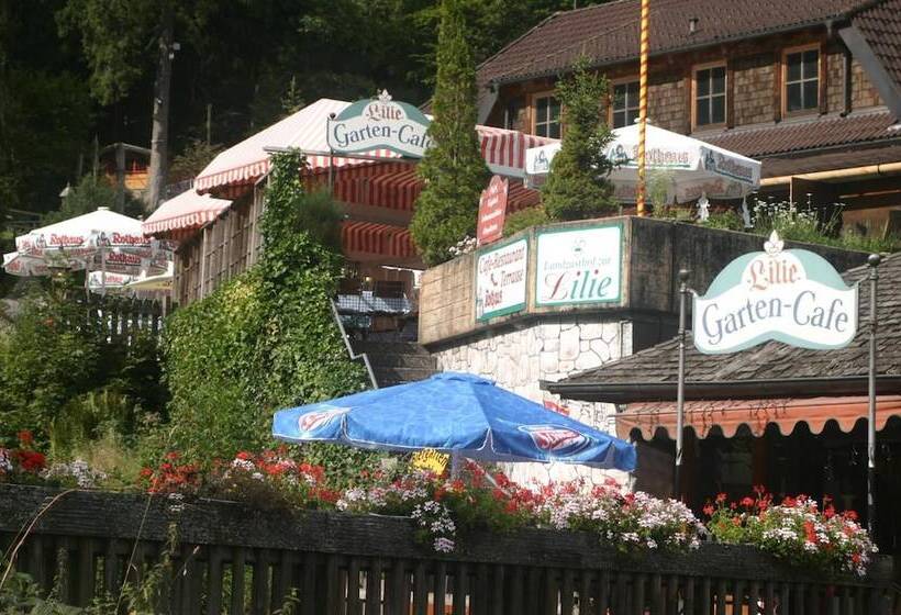 هتل Gästehaus Zur Lilie