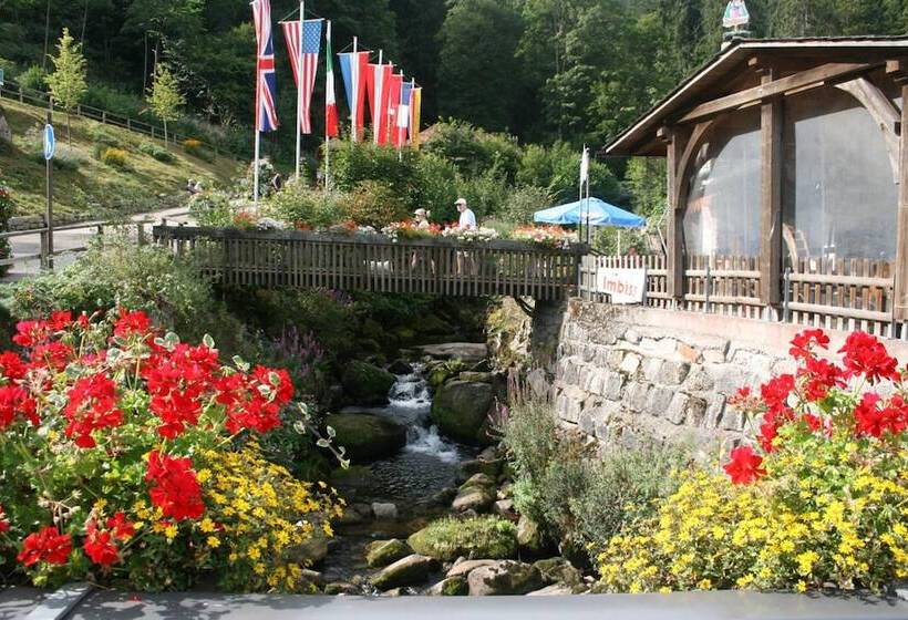 هتل Gästehaus Zur Lilie