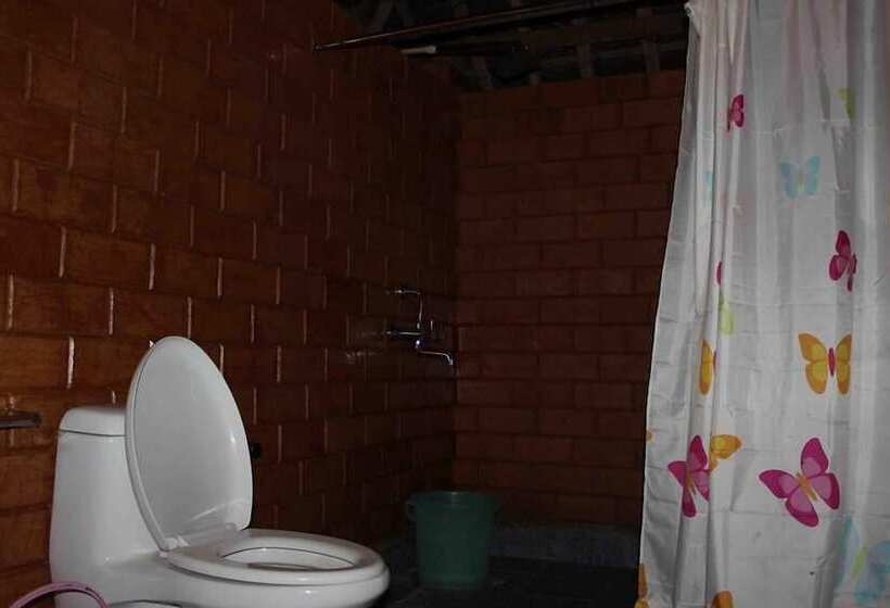 Hotel The Palm Trees Resort