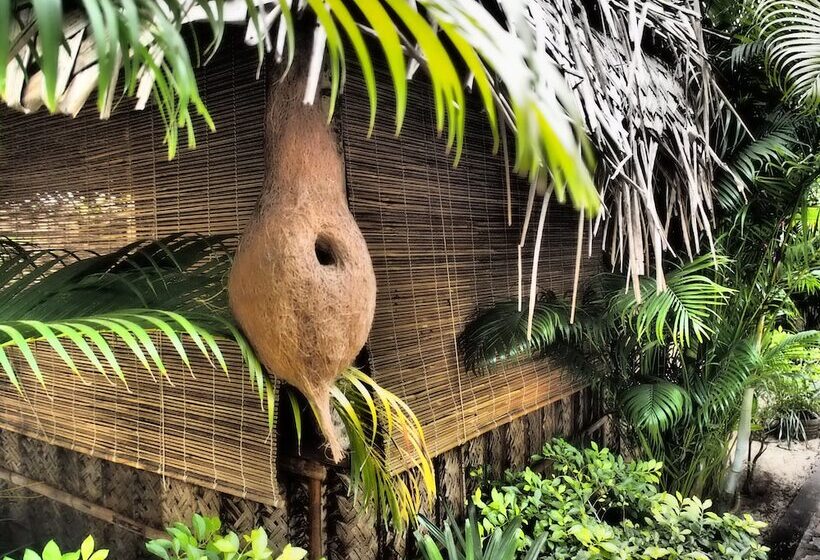 Hotel The Palm Trees Resort