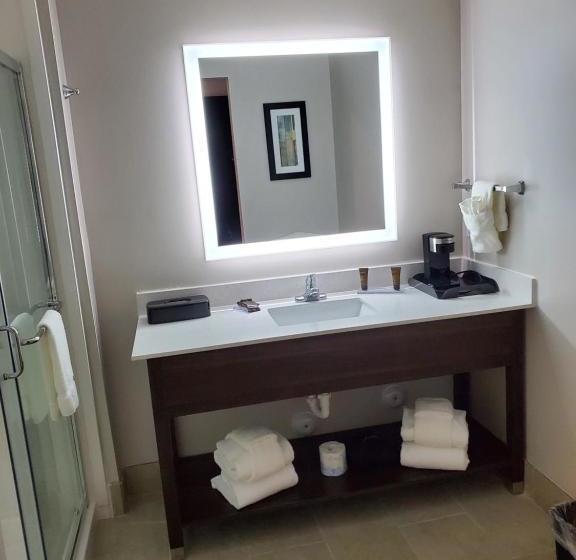 酒店 Wingate By Wyndham Christiansburg