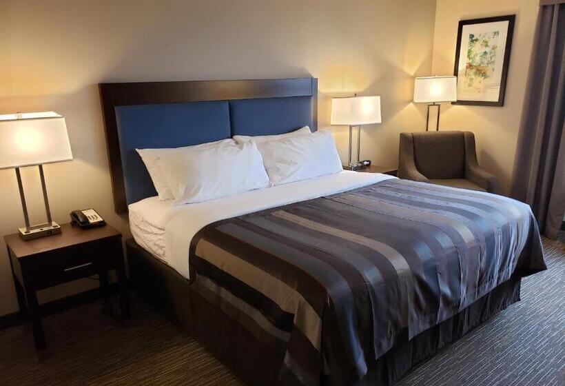 酒店 Wingate By Wyndham Christiansburg