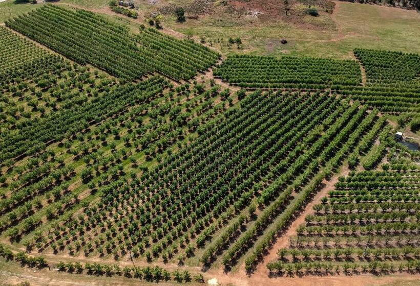 פנסיון Farview Guest Accommodation