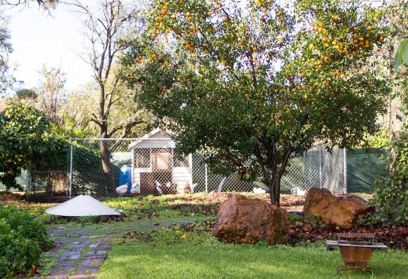 פנסיון Farview Guest Accommodation