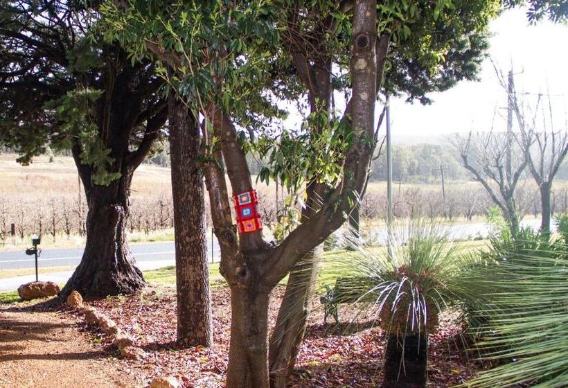 پانسیون Farview Guest Accommodation