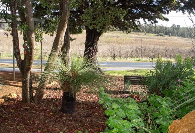 פנסיון Farview Guest Accommodation