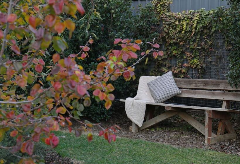 پانسیون Studio 367