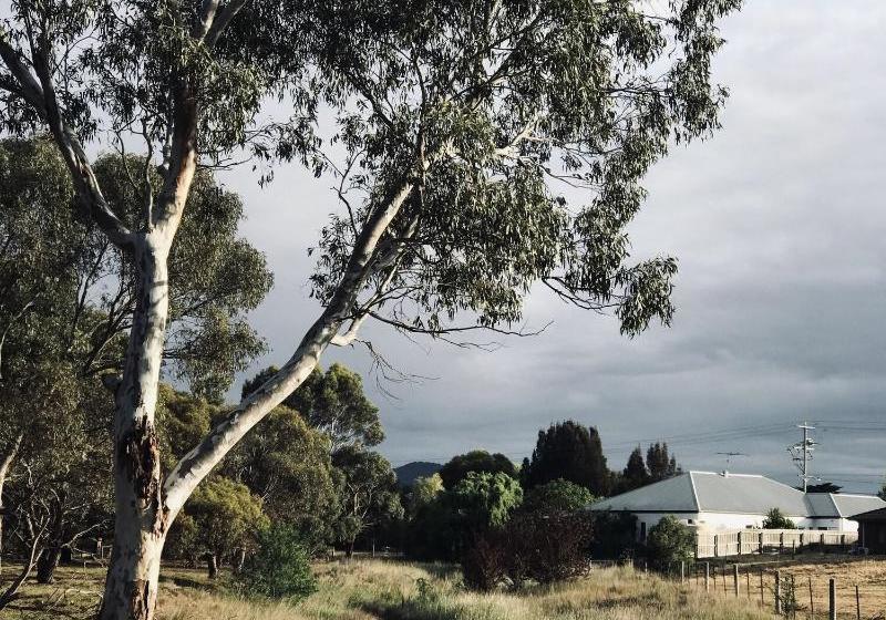 פנסיון Sweet Dreams Retreat At Lara