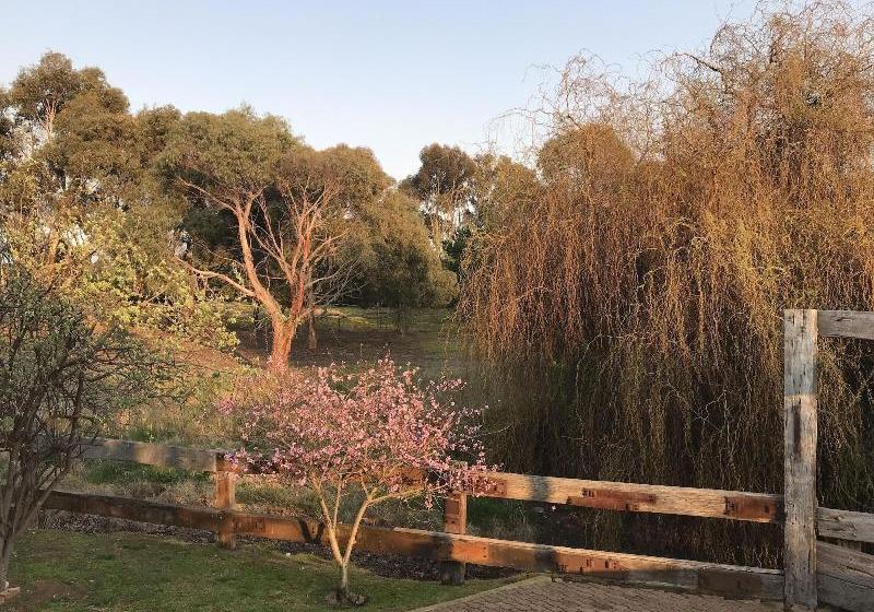 بنسيون Sweet Dreams Retreat At Lara