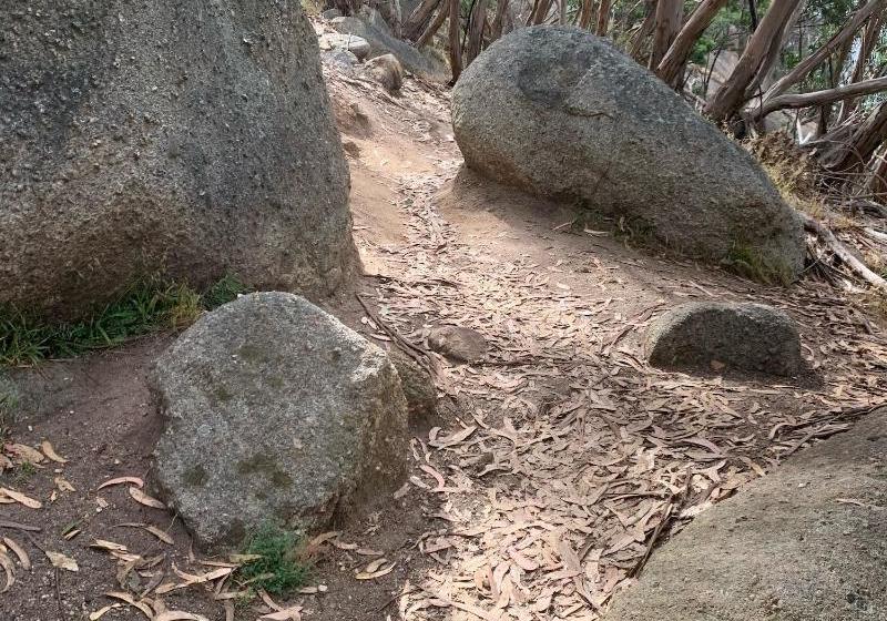 פנסיון Sweet Dreams Retreat At Lara