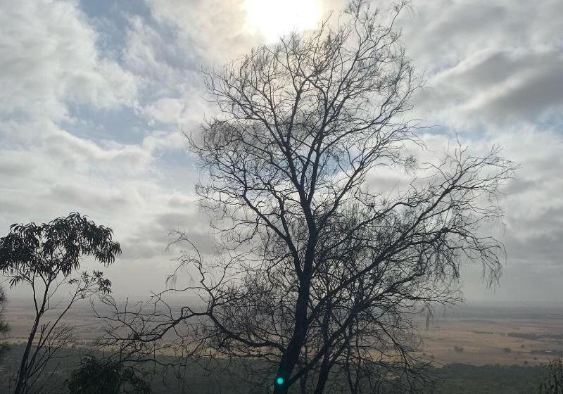 פנסיון Sweet Dreams Retreat At Lara