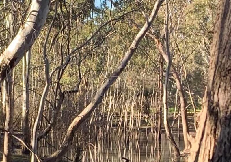 פנסיון Sweet Dreams Retreat At Lara