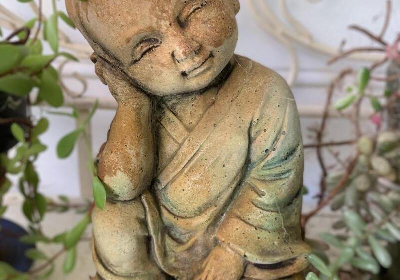 פנסיון Sweet Dreams Retreat At Lara