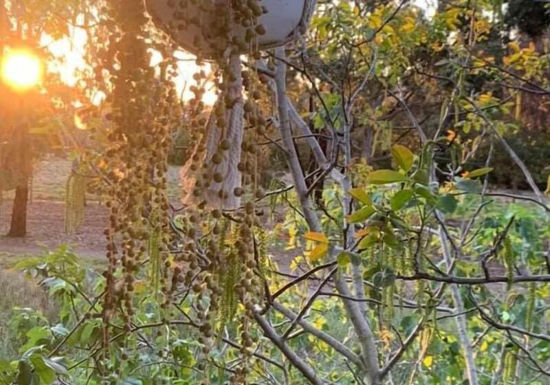 פנסיון Sweet Dreams Retreat At Lara