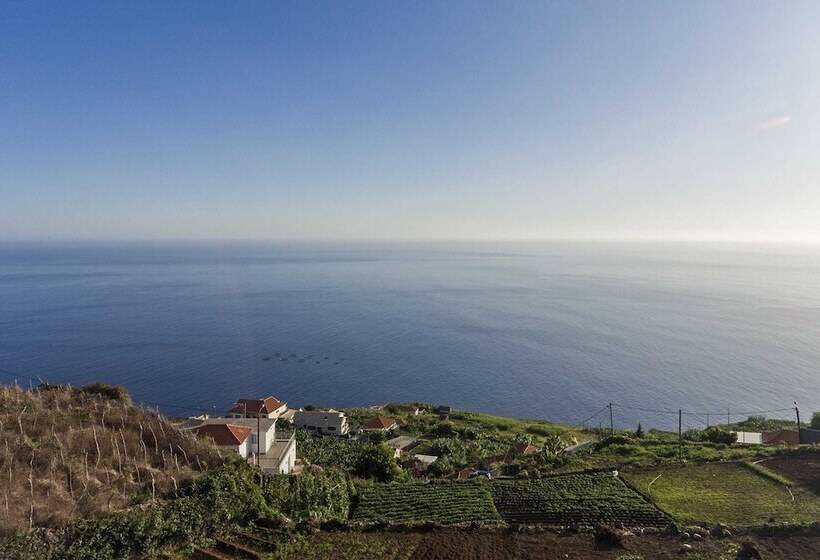 Searenity Vacations Home Ii By An Island Apart