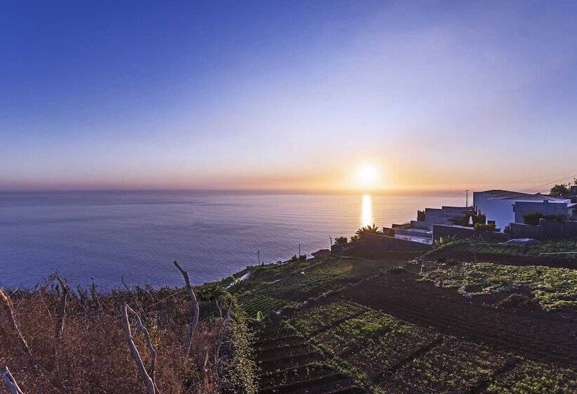 Searenity Vacations Home Ii By An Island Apart